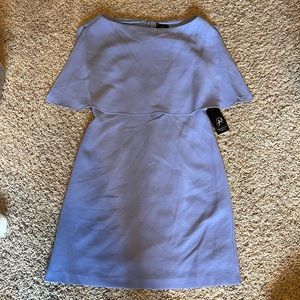 Womens New Adrianna Papell purple Cameron woven popover dress sz 0